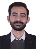 Mohammad Ali Ashrafian